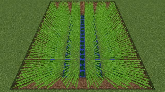 Tạo một trang trại mía lớn trong Minecraft