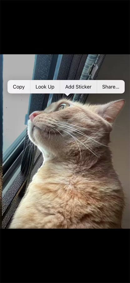 Xếp chồng ảnh trên iPhone