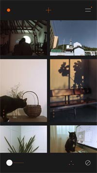 Ảnh mang tông màu trầm ấm