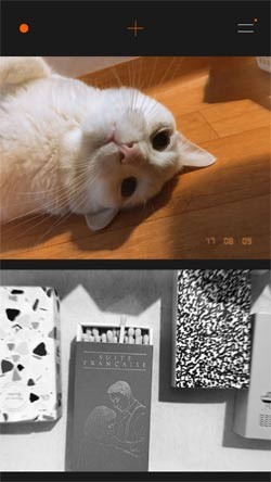 Mốc thời gian in ở góc ảnh