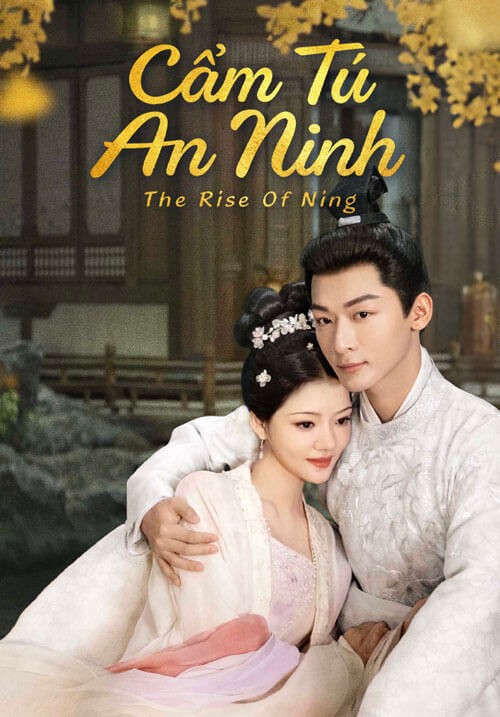 Poster phim Cẩm tú an ninh