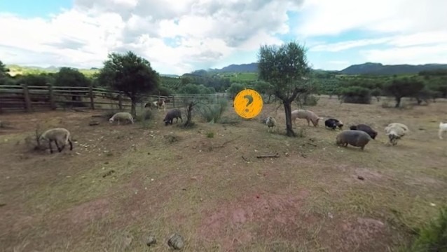 Xem hình ảnh, video thực tế