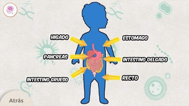 Khám phá bí mật về cơ thể người