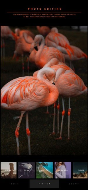 Camera 365 là ứng dụng chỉnh sửa ảnh miễn phí, cao cấp cho iPhone, iPad