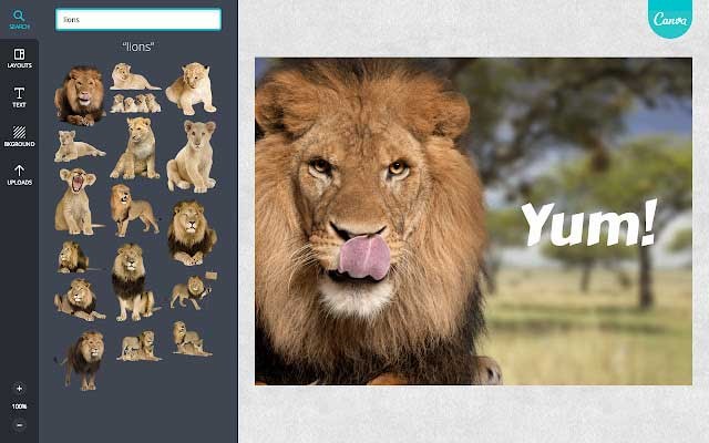 Với Canva cho PC, việc thiết kế đồ họa sẽ trở nên đơn giản đến kinh ngạc