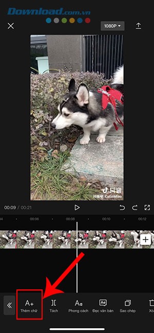 CapCut them giong doc van ban 9*401531