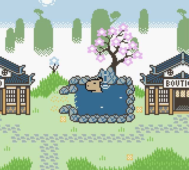 Đi khám phá ngôi làng Capybara thanh bình