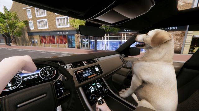 Chú chó trung thành sẽ đồng hành cùng bạn đi muôn nơi