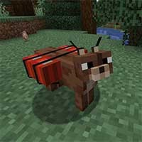 Caracal Mod Minecraft: Đồng Hành Mới, Thú Cưng Đáng Yêu