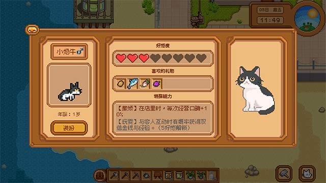 Làm bạn với những chú mèo và cùng nhau khám phá bí ẩn trên đảo