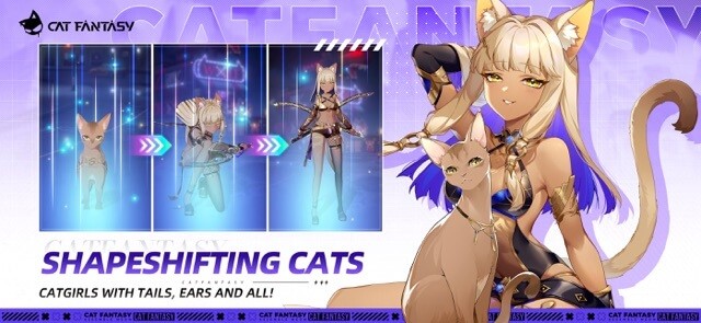 Biến đổi các con mèo thành cô gái mèo quyến rũ