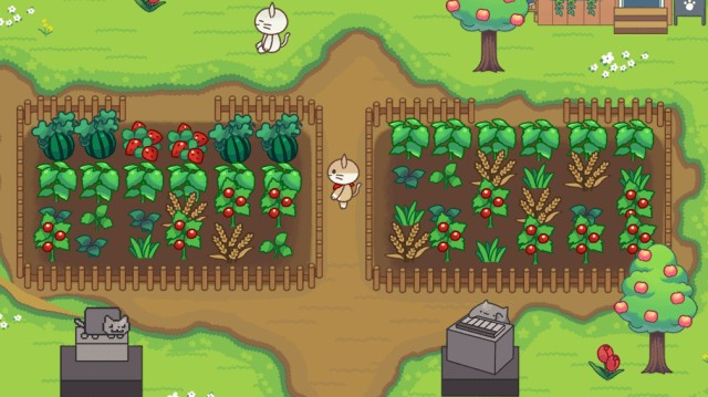 Trồng nhiều loại cây khác nhau