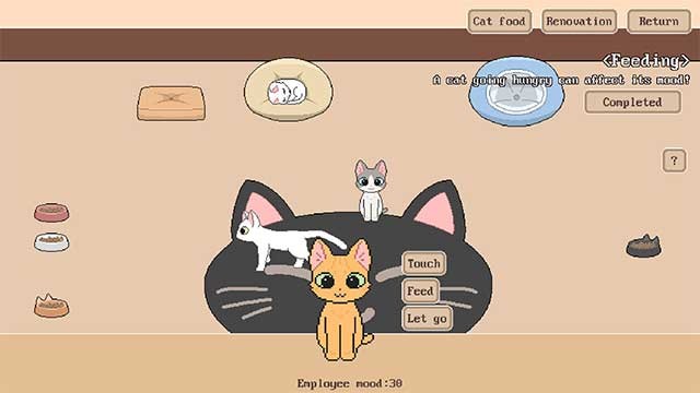 Xây dựng và phát triển một khách sạn thân thiện dành riêng cho mèo