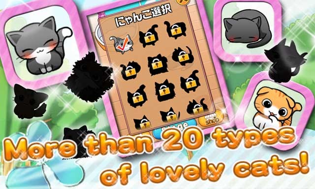 Mở khóa hơn 20 loài mèo đáng yêu