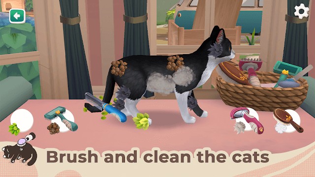 Tắm rửa và làm sạch cho những chú mèo khi nhận nuôi chúng trong game Cat Rescue Story