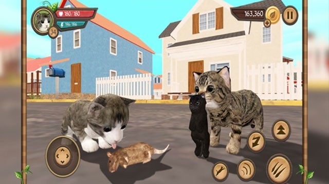 Cat Sim Online cho iOS đưa bạn vào trải nghiệm nuôi mèo và phát triển cộng đồng mèo vui nhộn