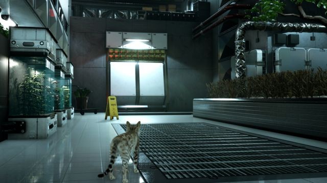 Catfall là game phiêu lưu giải đố kết hợp hành động lén lút chủ đề mèo con thám hiểm không gian