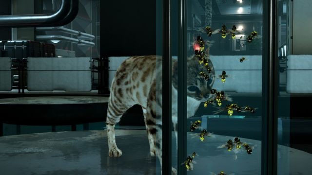 Đối mặt với những rắc rối và sự hỗn loạn trong Cat Fall