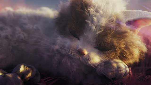 Game tập trung vào việc chăm sóc mèo với những chú mèo có tạo hình cực chân thực