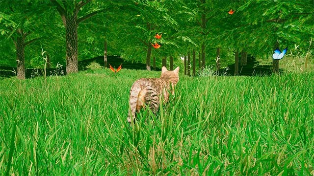 Bước vào chuyến phiêu lưu thú vị và đầy bất ngờ trong Cats Game