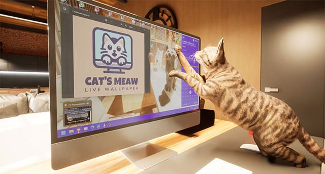 Tương tác với mèo con, chăm sóc cưng nựng và thay quần áo cho boss trong Cat's Meow Live Wallpaper game