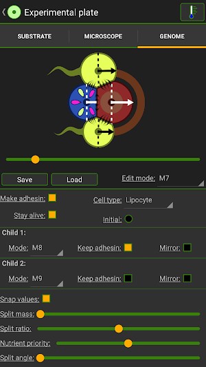 Số lượng tế bào và kích thước đĩa petri không giới hạn