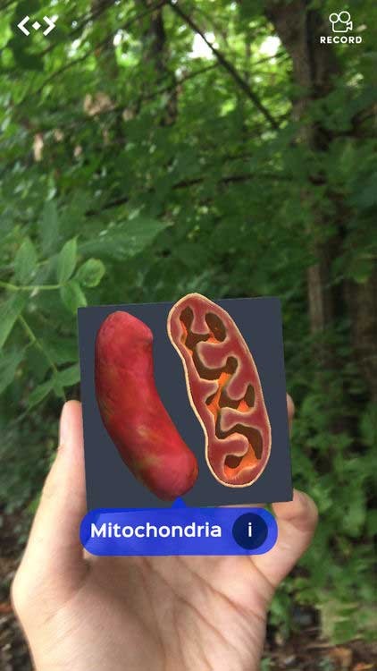 Đọc tên vật thể và cơ quan với chế độ thách thức mới trong CellulAR