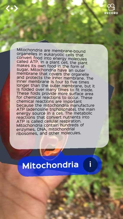 Đọc thông tin bổ ích về những gì bạn đang quan sát