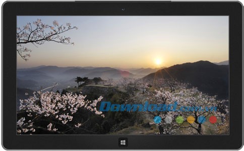 Cherry Blossoms of Japan theme