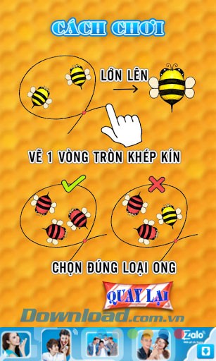 Chiến dịch ong vàng for Android