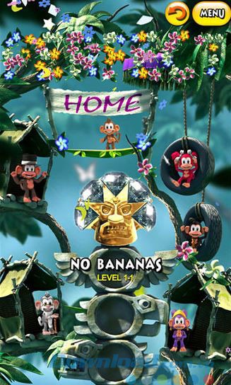 Hành trình phiêu lưu trong khu rừng