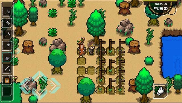 Trồng hơn 20 loại cây, bán hoặc sử dụng chúng trong các công thức nấu ăn