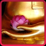 Tải Chú Đại Bi cho Android 1.3 - Bài tụng Chú Đại Bi