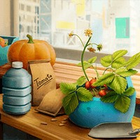 City Garden Harvest: Trải nghiệm nông trại ấm cúng ngay tại căn hộ