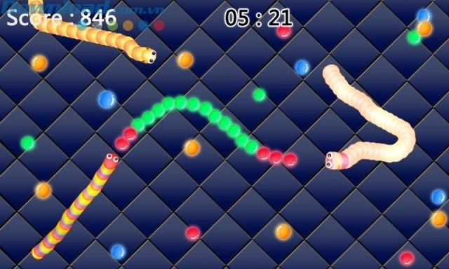 Nuôi rắn lớn bằng cách cho chúng ăn những chấm sáng