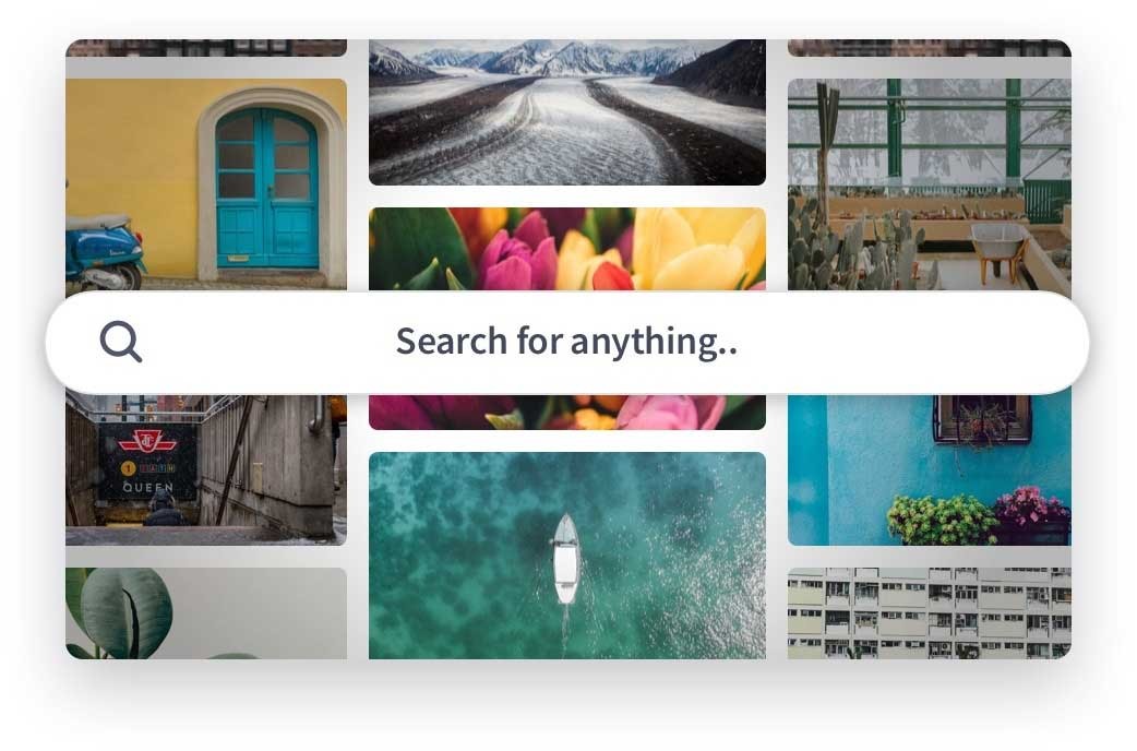 Tìm kiếm nhanh trên Clipchamp