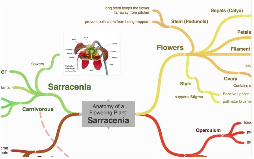 Coggle là công cụ trực tuyến để tạo và chia sẻ ý tưởng
