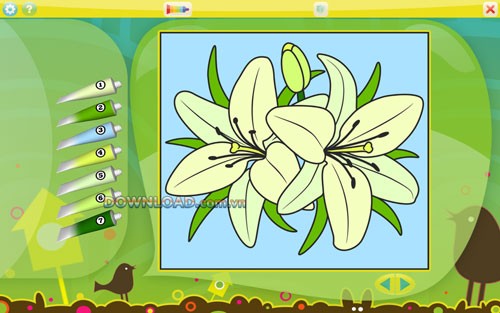 Color by Numbers - Flowers