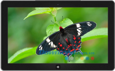 Colors of India theme