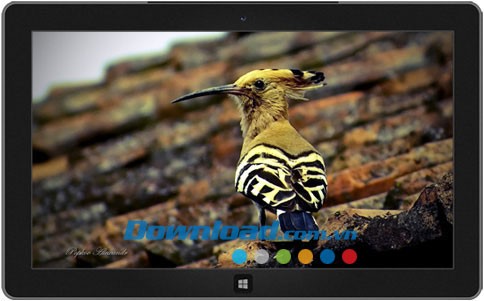 Colors of Nature theme