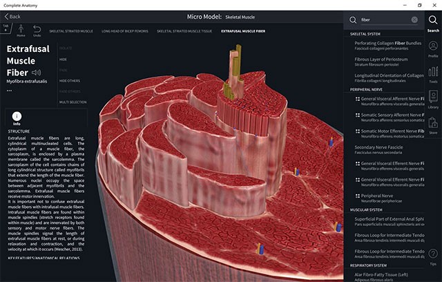 Complete Anatomy for Windows 10 cung cấp tài liệu học tập đa dạng