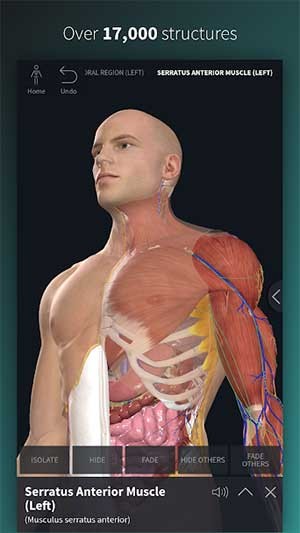 Cung cấp hơn 17.000 cấu trúc tương tác