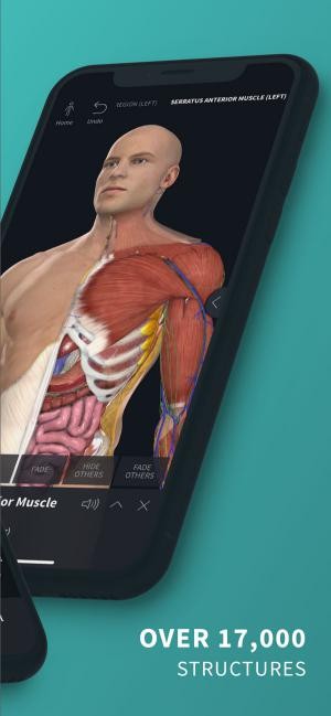 Hơn 17000 cấu trúc