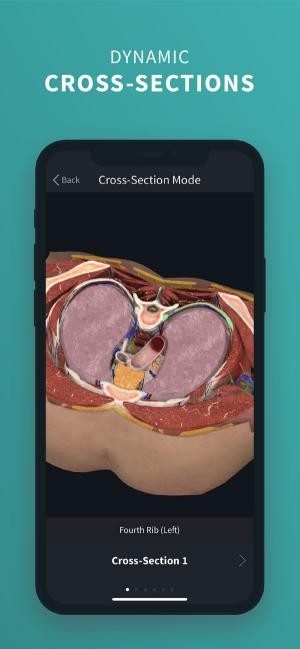 Hiển thị các mặt cắt ngang chân thực