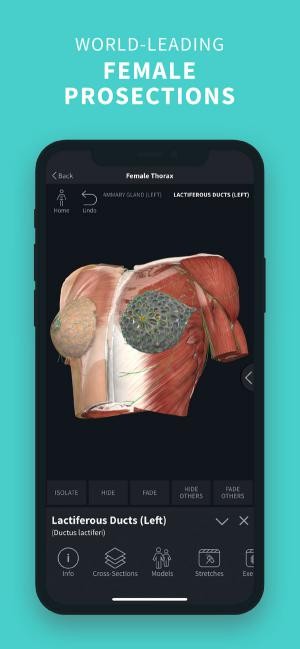 Xem cấu trúc cơ thể nữ giới