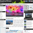 ContrastGreen Wordpress: So sánh với các chủ đề đa màu sắc