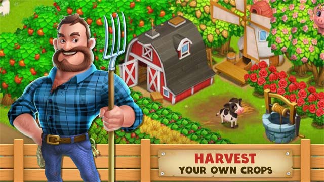 Thu hoạch nông sản trong trang trại làm nguyên liệu nấu ăn