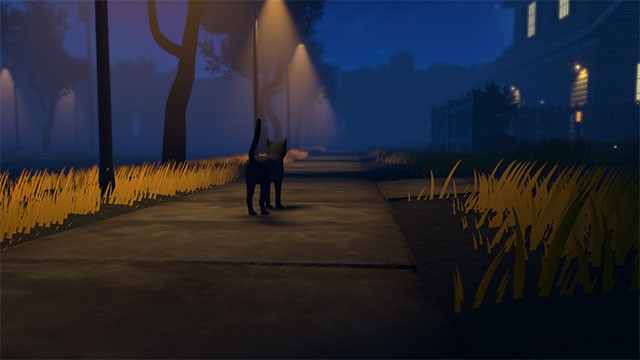 Copycat tái hiện hành trình khám phá cuộc sống và tìm đường về nhà của chú mèo cô đơn