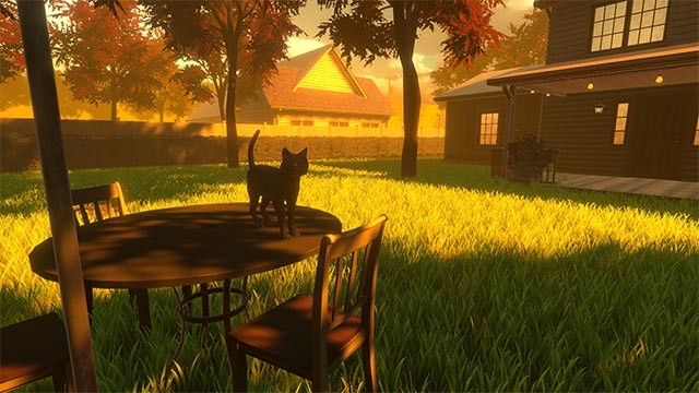 Khám phá thế giới và cuộc sống thông qua góc nhìn của 1 chú mèo cô đơn