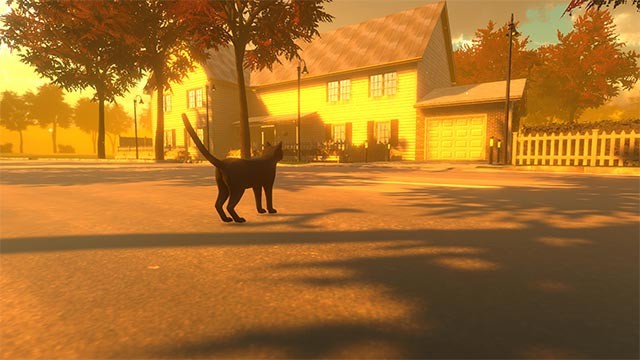 Làm thế nào để mèo con thích nghi được với cuộc sống đầy cạm bẫy bên ngoài kia?